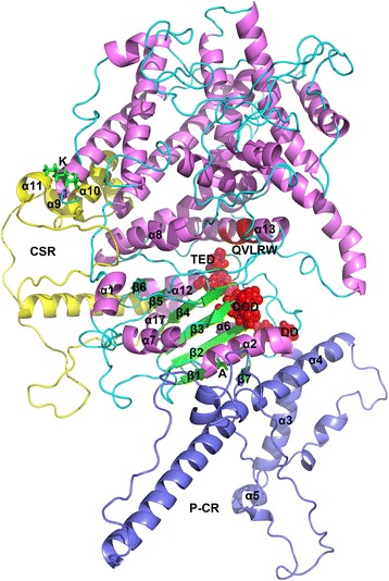 Fig. 9