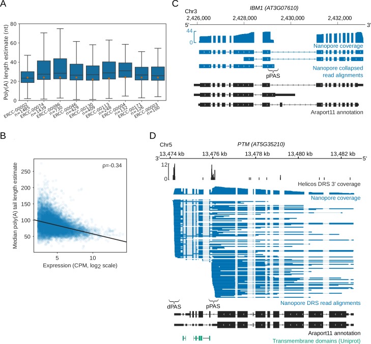 Figure 2—figure supplement 1.