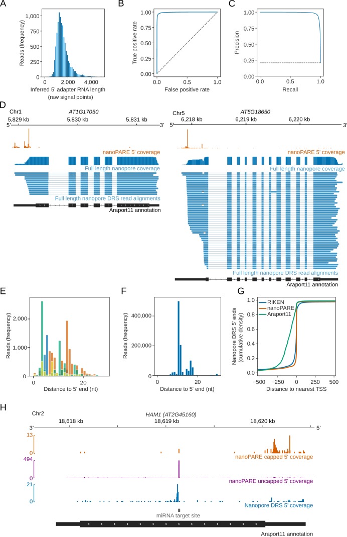 Figure 3—figure supplement 1.