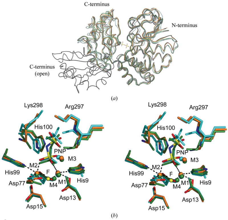 Figure 2