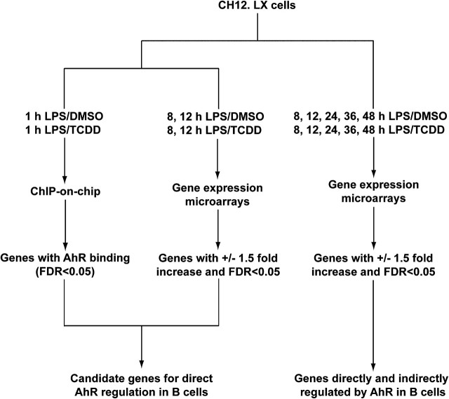 FIG. 1.