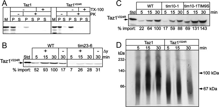 Fig 4