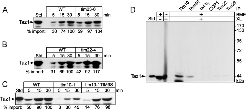 Fig 2