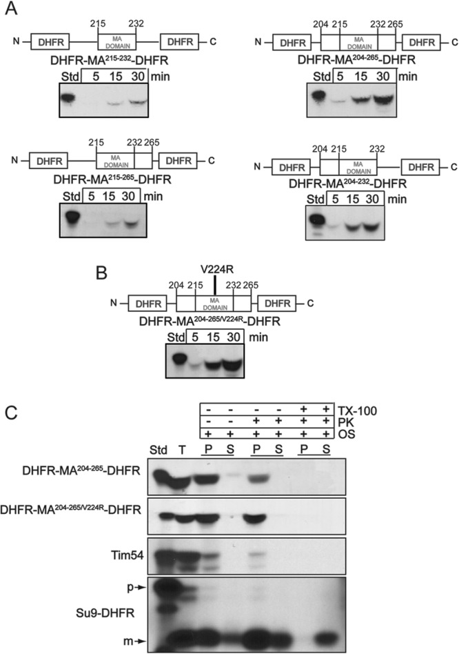 Fig 6