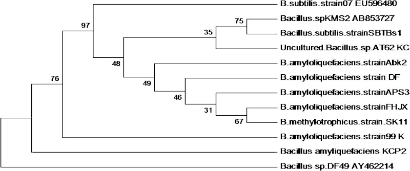 Fig. 1