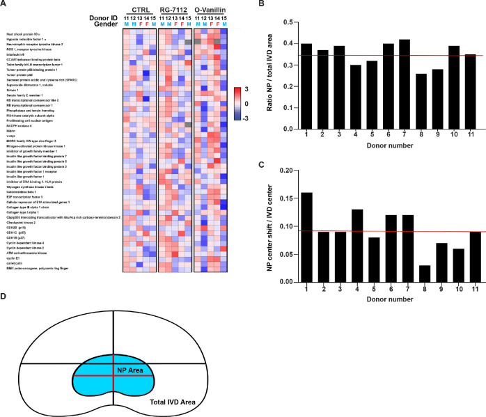 Figure 2—figure supplement 1.