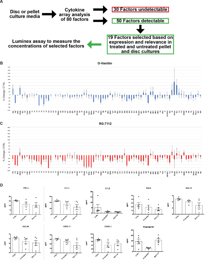 Figure 3—figure supplement 1.