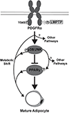 Fig. 8.