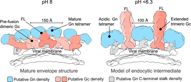 FIG 5