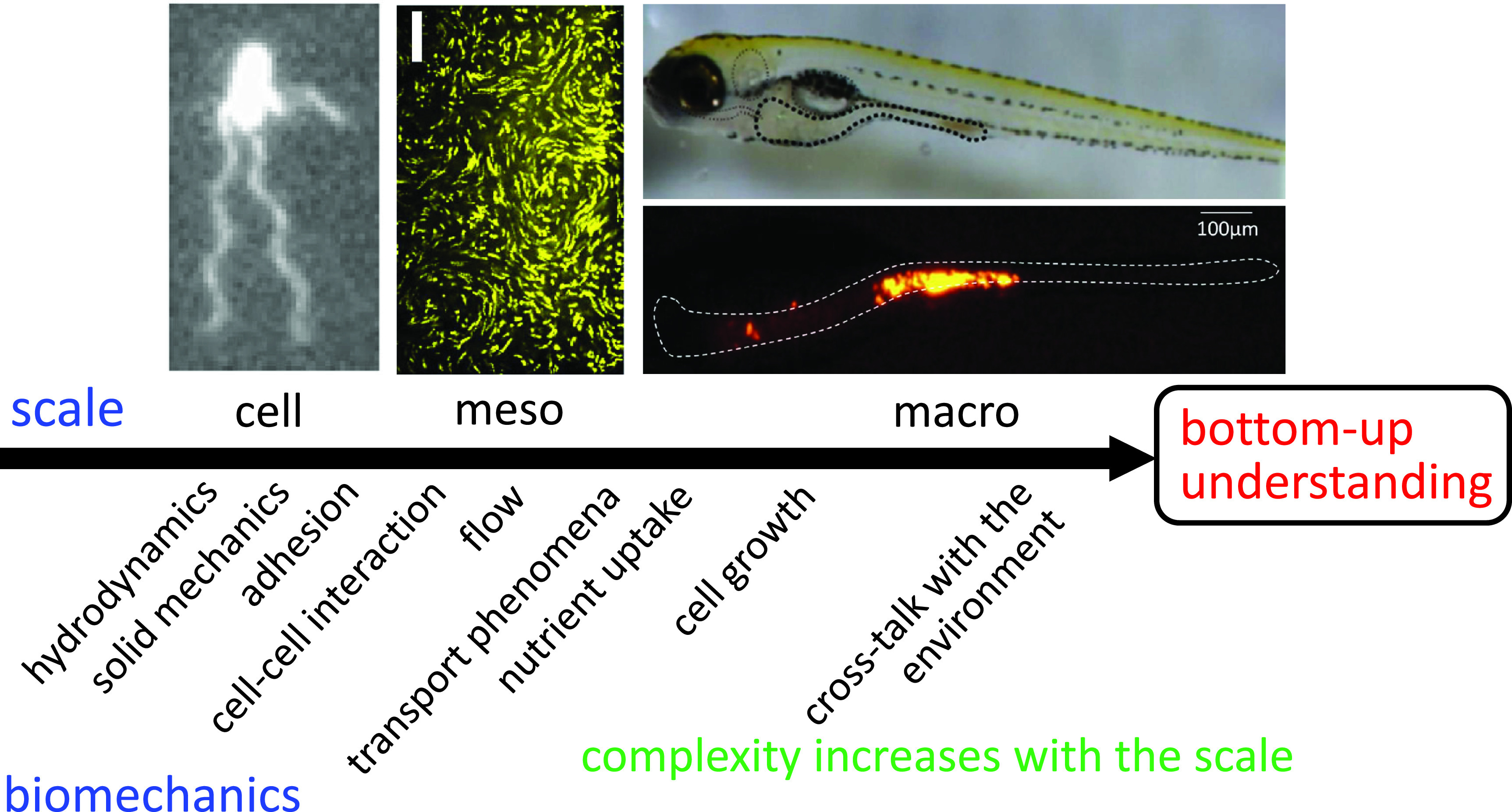 FIG. 1.