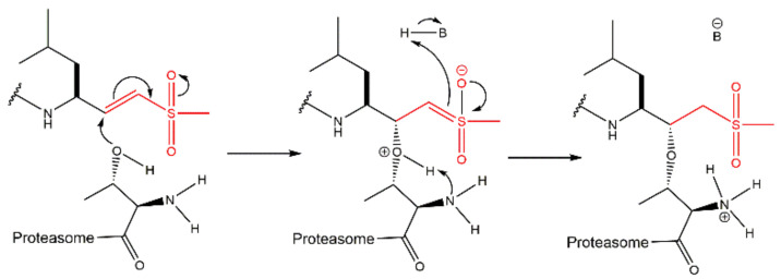 Revisiting Proteasome Inhibitors: Molecular Underpinnings Of Their 