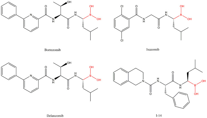 Revisiting Proteasome Inhibitors: Molecular Underpinnings of Their ...