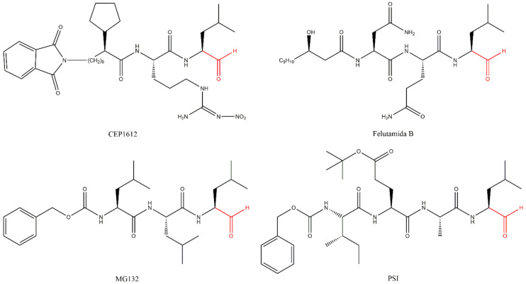 Revisiting Proteasome Inhibitors: Molecular Underpinnings of Their ...