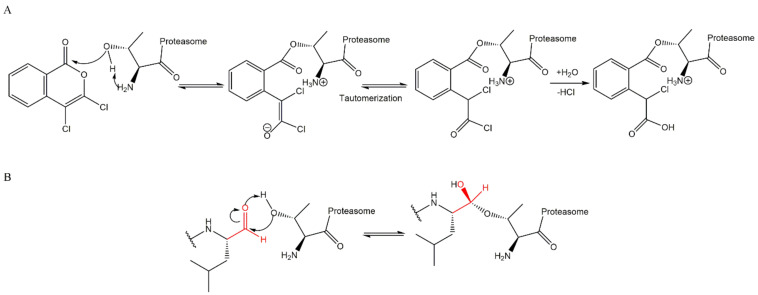 Revisiting Proteasome Inhibitors: Molecular Underpinnings of Their ...