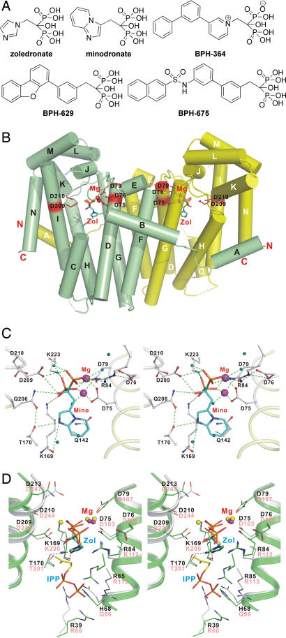 Fig. 2.