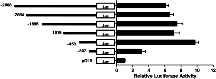 FIGURE 3.