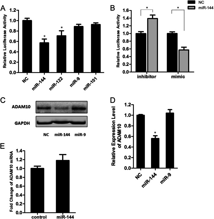 FIGURE 1.