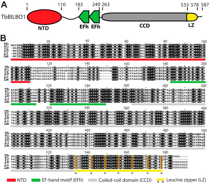 FIGURE 1.