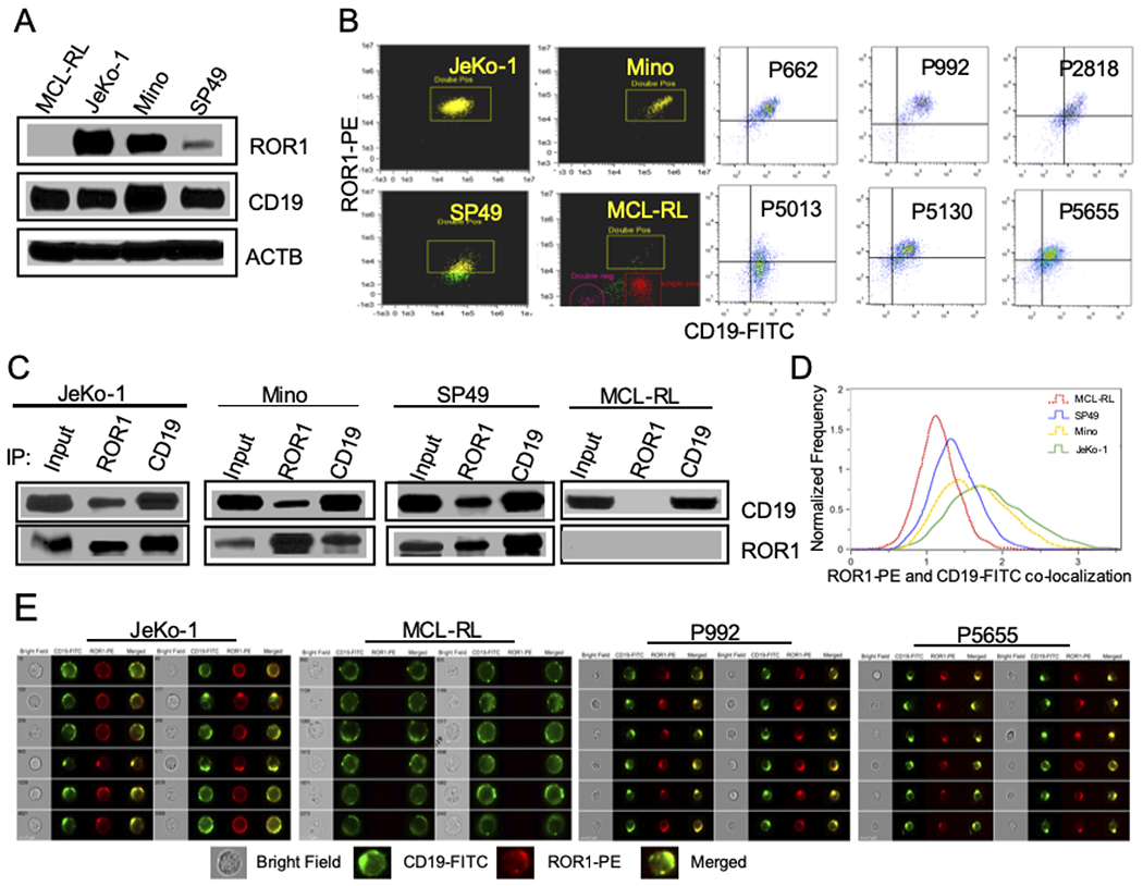 Figure 2: