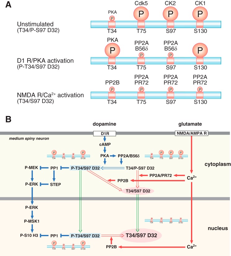 FIGURE 10.