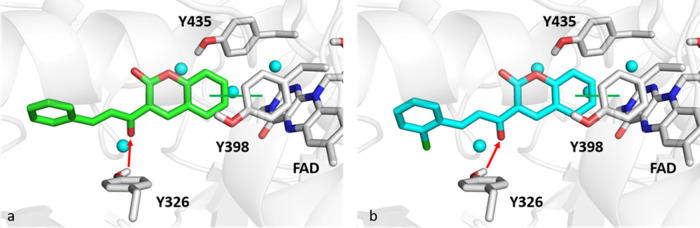 Figure 10