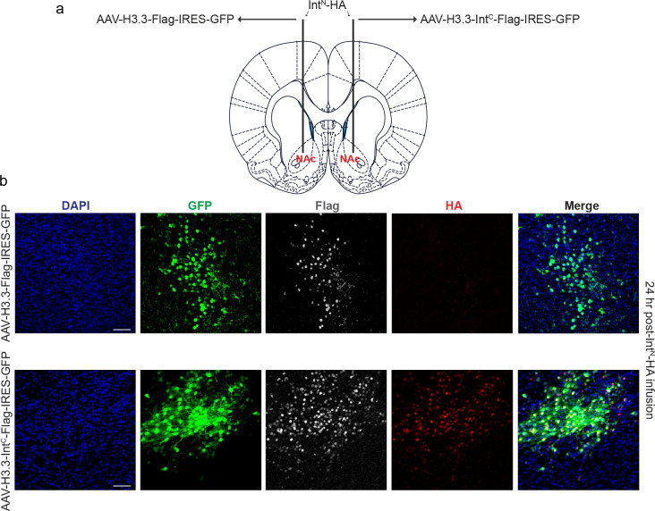 Figure 2: