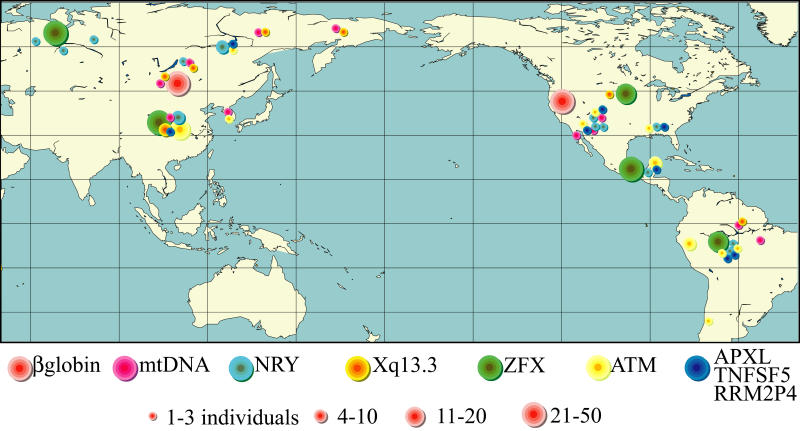 Data from nine different regions in the human genome chart the journey of the first immigration to the New World