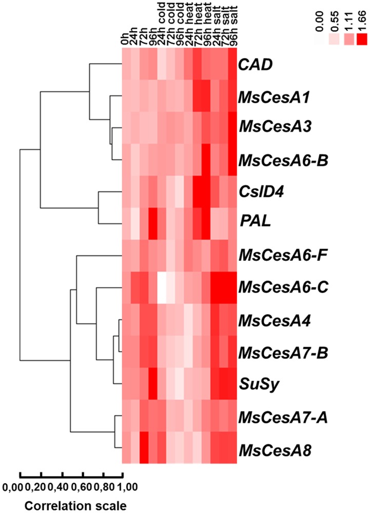 Figure 7