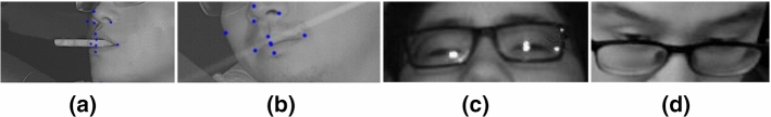 Fig. 19