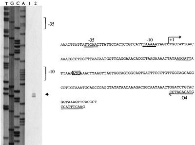 FIG. 4