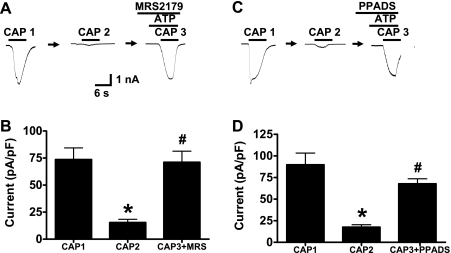 Fig. 8.