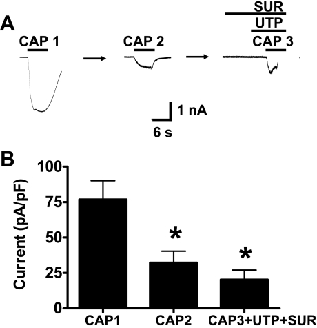 Fig. 9.