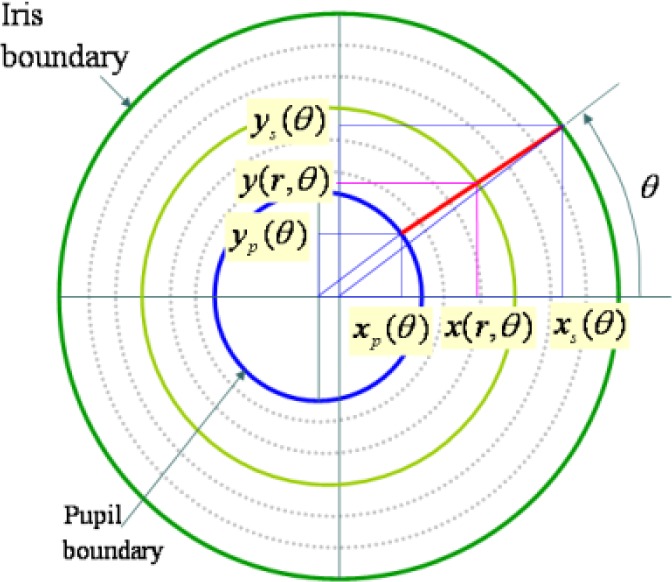 Fig. 25