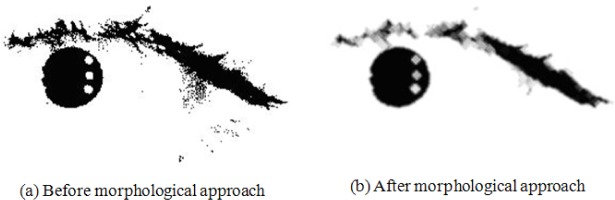 Fig. 19