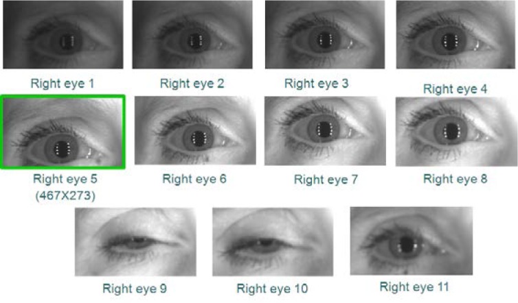 Fig. 13