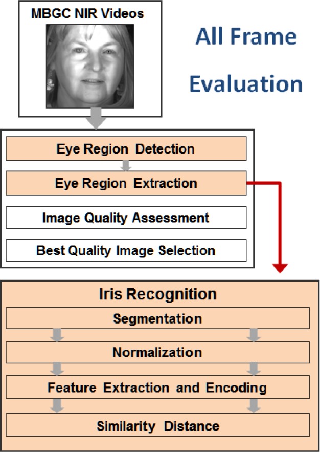 Fig. 39