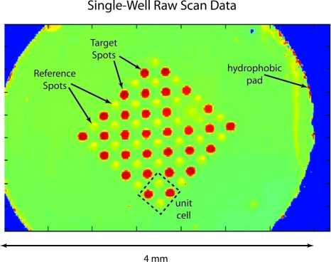 Figure 24