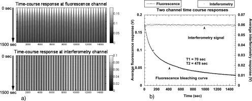 Figure 19