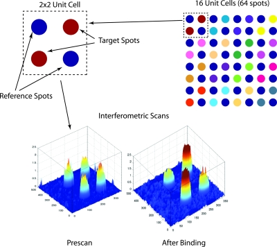 Figure 22