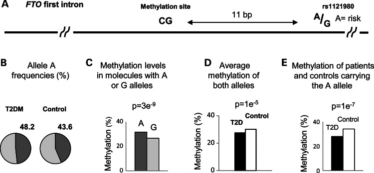 Figure 3.