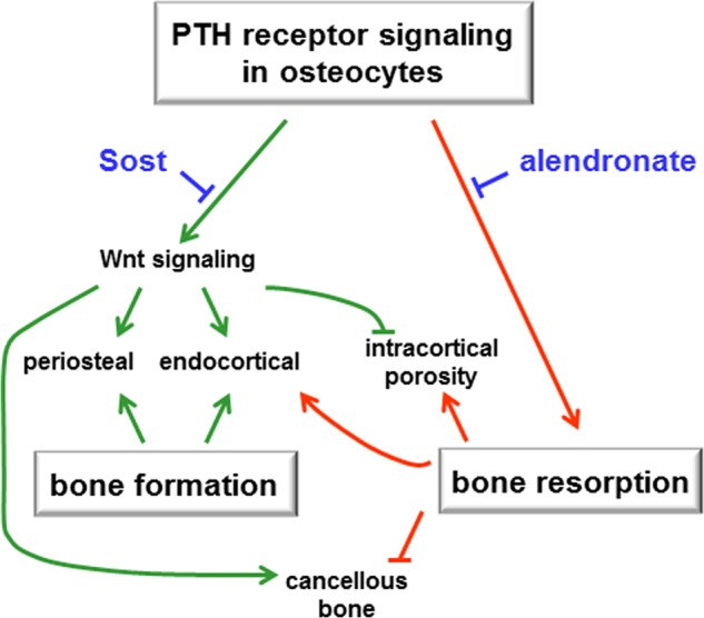 FIGURE 10.