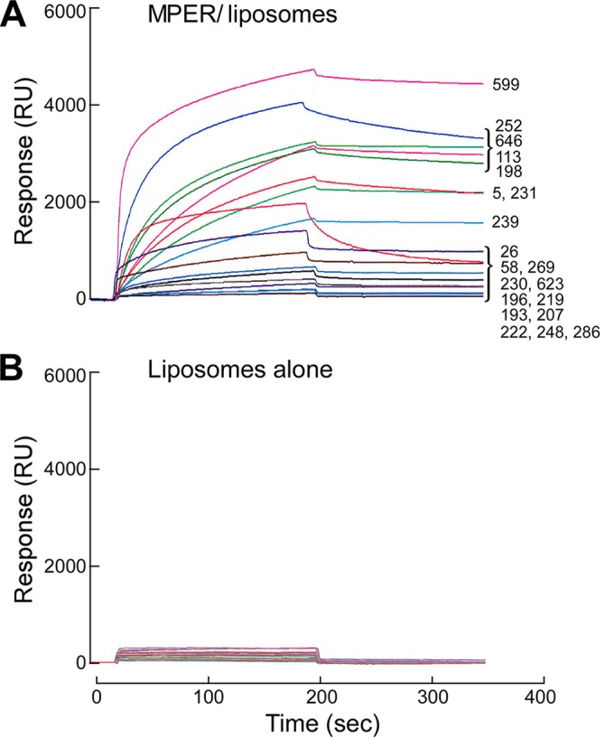 FIG 4