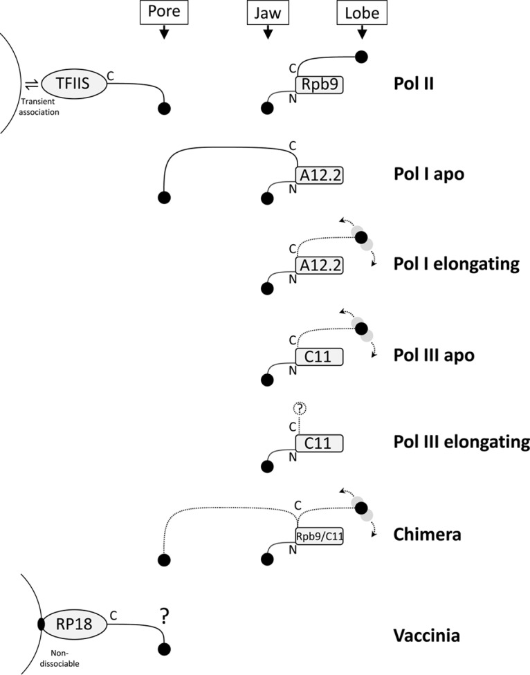 FIG 2