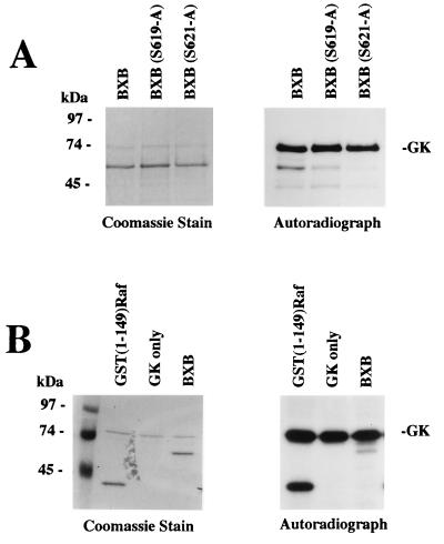 FIG. 12