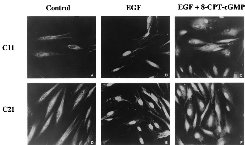 FIG. 7