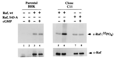 FIG. 11