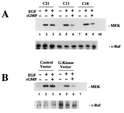 FIG. 8