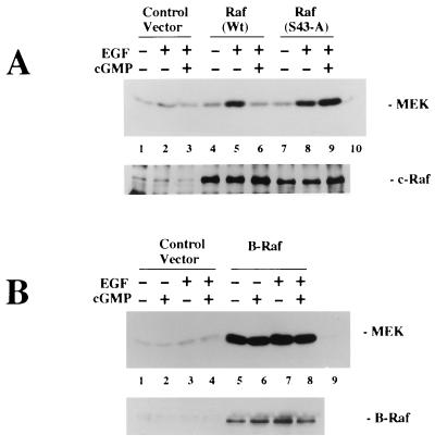 FIG. 13