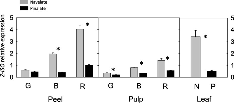 Fig. 8