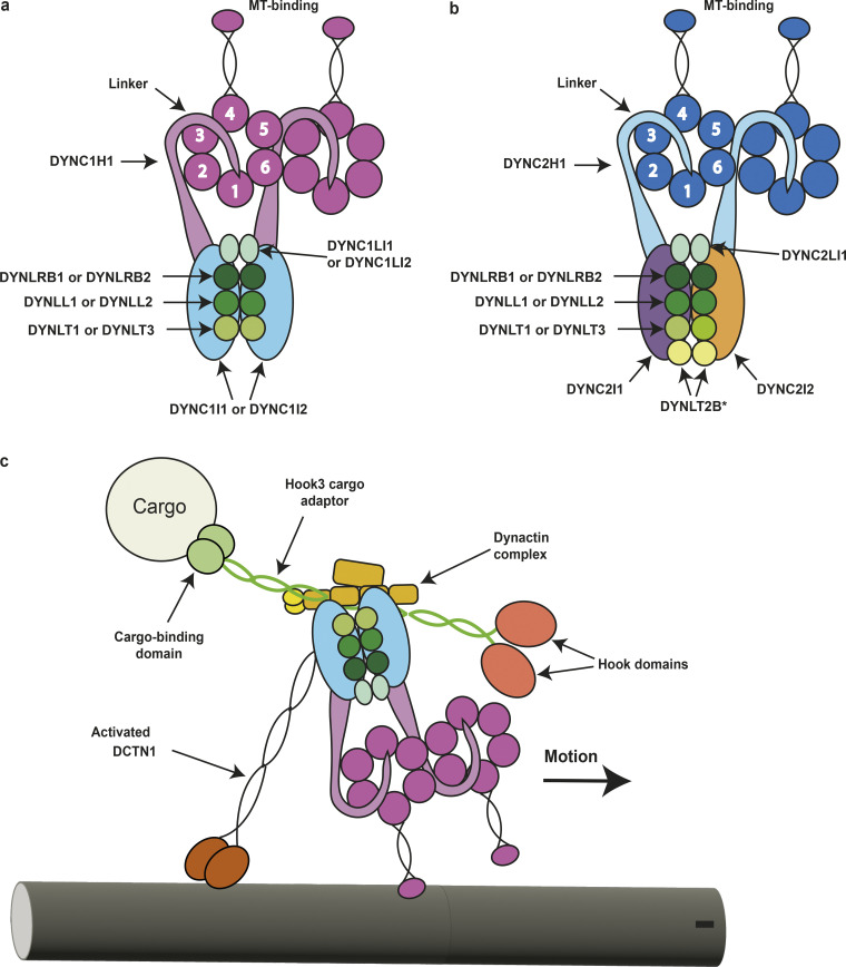 Figure 1.